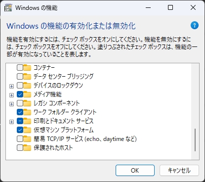 ファイル:Windows11 VM platform.jpg