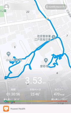 HuaweiBand4Pro walking ebara 1.jpg