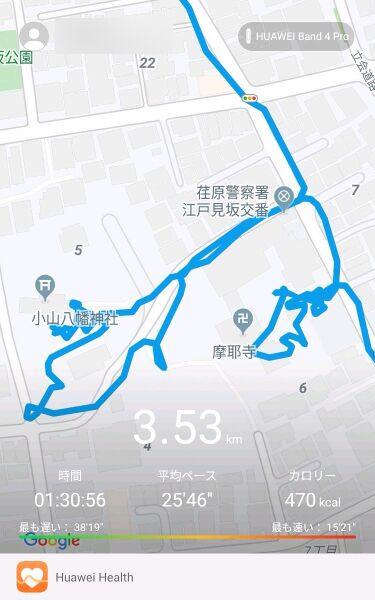 ファイル:HuaweiBand4Pro walking ebara 1.jpg