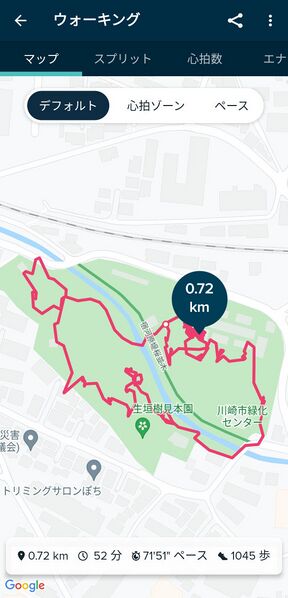 ファイル:FitbitCharge4 workout walking map.jpg