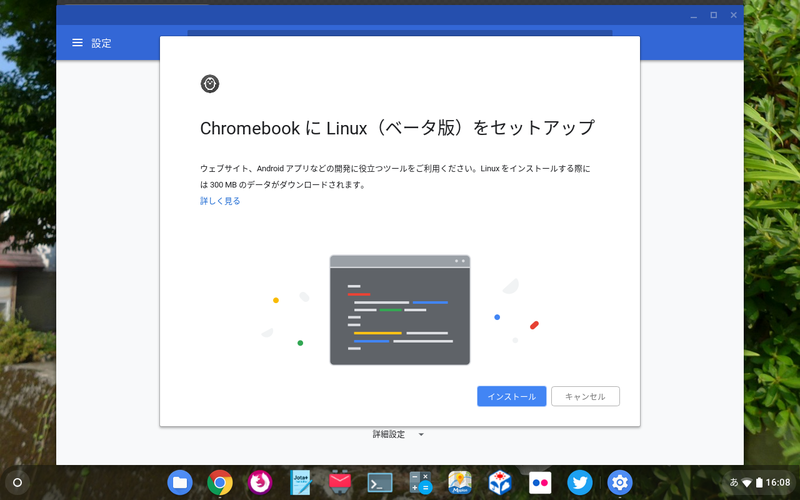 ファイル:Chromebook C101PA LinuxInstaller.png