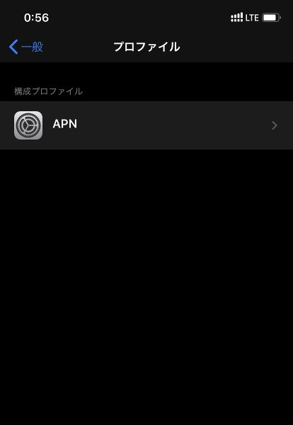 ファイル:IPhone11 APN.jpg